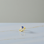 Toi Et Moi Diamond & Sapphire Engagement Ring - Options - Pobjoy Diamonds