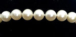 Freshwater Pearl Single Strand Bracelet 7mm - Pobjoy Diamonds