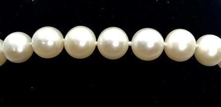 Freshwater Pearl Single Strand Bracelet 7mm - Pobjoy Diamonds