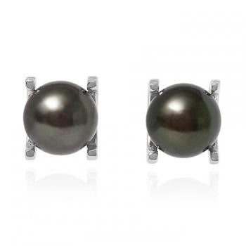 Freshwater Cultured Black Pearl Claw Set Stud Earrings - Pobjoy Diamonds