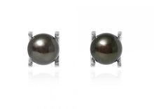 Load image into Gallery viewer, Freshwater Cultured Pearl Claw Set Stud Earrings - Pobjoy Diamonds