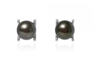 Freshwater Cultured Pearl Claw Set Stud Earrings - Pobjoy Diamonds