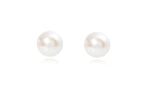 Freshwater Large Silver White Button Cultured Pearl Stud Earrings - Pobjoy Diamonds