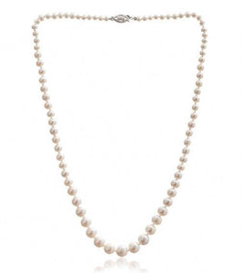 Freshwater White Pearl & Silver Necklace - Pobjoy Diamonds