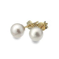 9K Yellow Gold & White Pearl Stud Earrings - Pobjoy Diamonds